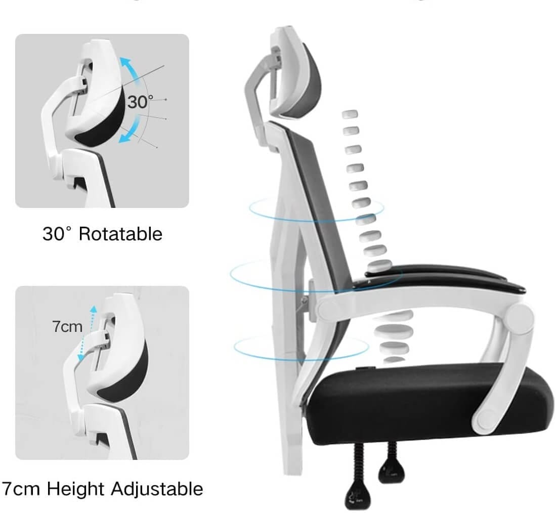 Recliner High Back Ergonomic Office Chair by Hbada (Function 2)