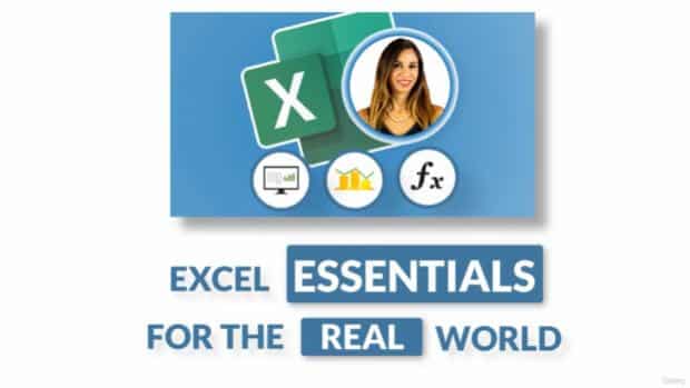 Excel Essentials for the Real World (Complete Excel Course) - 1