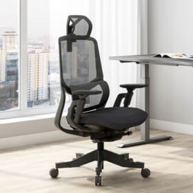 FlexiSpot - Soutien Office Chair