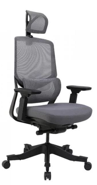 FlexiSpot - Soutien Office Chair - Display