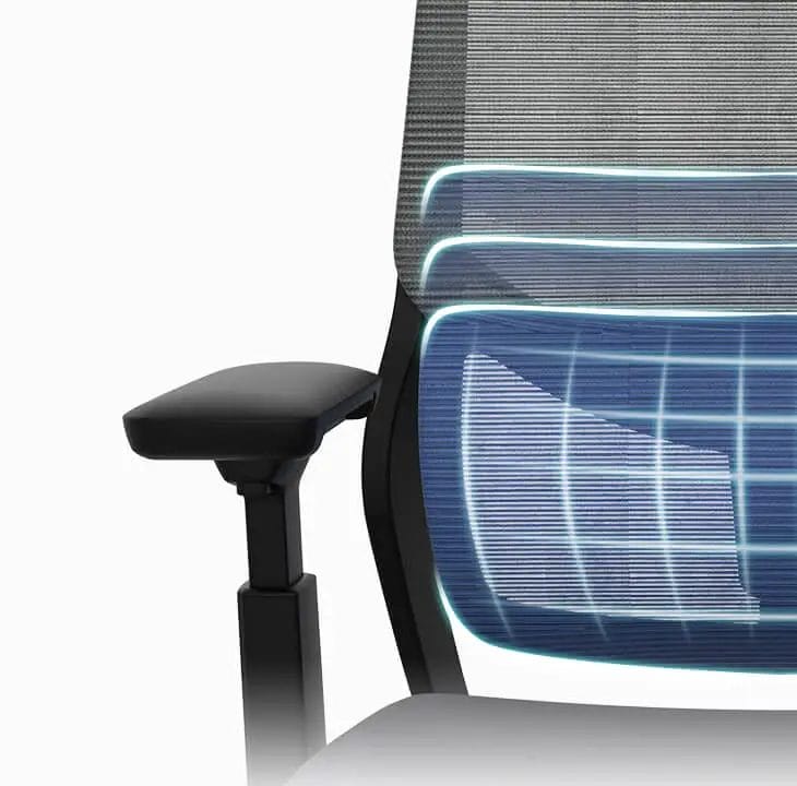 FlexiSpot - Soutien Office Chair - Lumbar Support