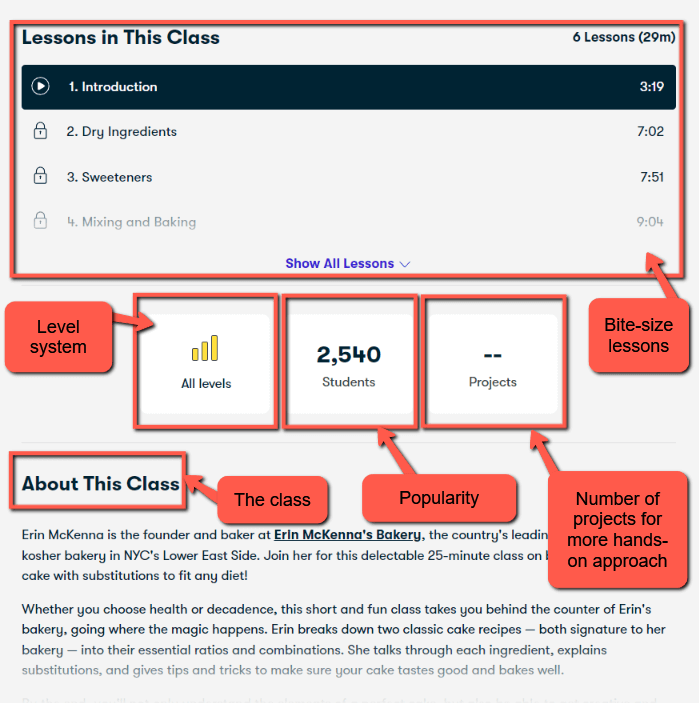 SkillShare - Lesson Information