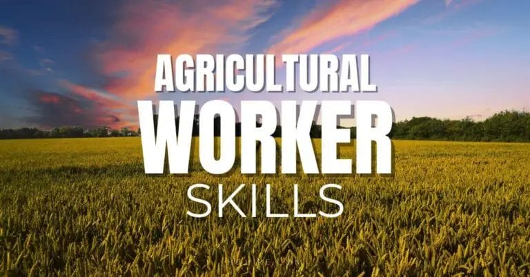Building a Successful Career in Agriculture: The Essential Traits You Need as a Agricultural Worker